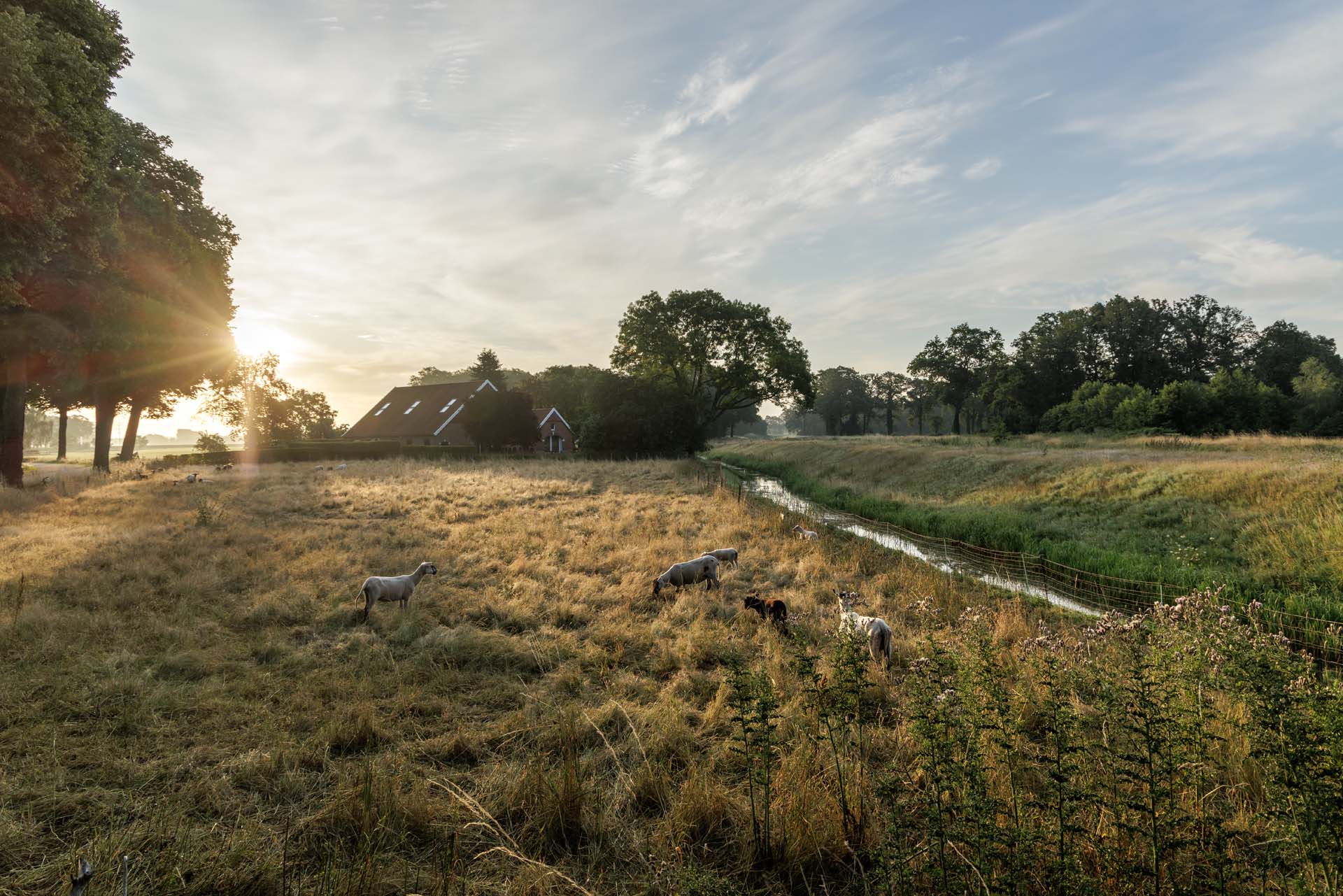 TB20230717 0679 HDR