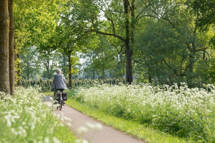 Pagelink Skelter En Fietsvehuur  ( niet meer gebruiken)