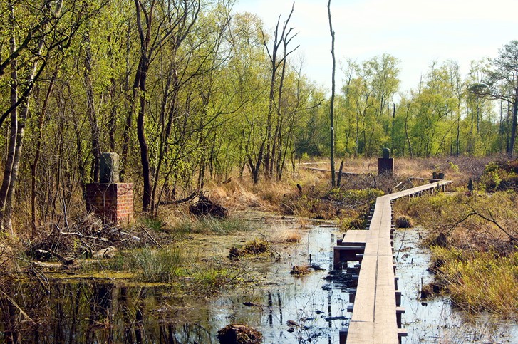 Wooldse Veen
